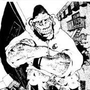 The lyrics HOLD YOUR GROUND 1 of GORILLA BISCUITS is also present in the album Gorilla biscuits (1988)