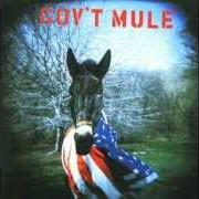 The lyrics TOWERING FOOL of GOV'T MULE is also present in the album Mulennium (2010)