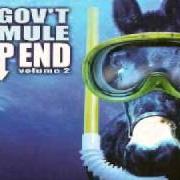 The lyrics SLOW HAPPY BOYS of GOV'T MULE is also present in the album Deep end vol. 2 (2002)