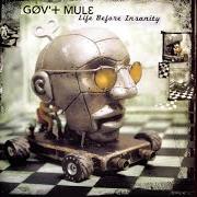 The lyrics BAD LITTLE DOGGIE of GOV'T MULE is also present in the album Life before insanity (2001)
