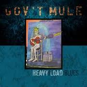 The lyrics (BROTHER BILL) LAST CLEAN SHIRT of GOV'T MULE is also present in the album Heavy load blues (2021)