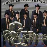 The lyrics EL CABRITO of ALACRANES MUSICAL is also present in the album Ahora y siempre (2007)