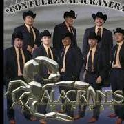 The lyrics VETE YA of ALACRANES MUSICAL is also present in the album Ahora y siempre (2007)