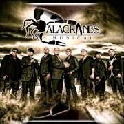 The lyrics ANDAR CONMIGO of ALACRANES MUSICAL is also present in the album 100% originales (2005)