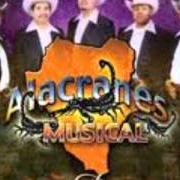 The lyrics CON EL AGUA HASTA EL CUELLO of ALACRANES MUSICAL is also present in the album Famoso durango (2004)