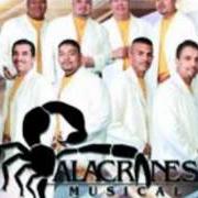 The lyrics CUENTA PAGADA of ALACRANES MUSICAL is also present in the album Furia alacranera (2003)
