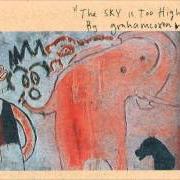 The lyrics WHERE'D YOU GO? of GRAHAM COXON is also present in the album The sky is too high (1998)