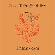 Crow sit on blood tree