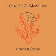 The lyrics BURN IT DOWN of GRAHAM COXON is also present in the album Crow sit on blood tree (2001)