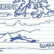 The lyrics NOW IT'S ON of GRANDADDY is also present in the album Sumday (2003)