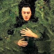 The lyrics AU PAVILLON DES LAURIERS of ALAIN BASHUNG is also present in the album Fantaisie militaire (1998)