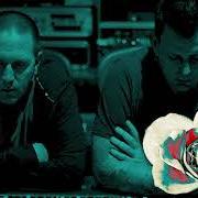 The lyrics THE SYNDROME of GREY DAZE is also present in the album Amends (2020)