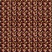Warp and woof