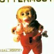 The lyrics S.D.F.B. of GUTTERMOUTH is also present in the album Musical monkey (1997)