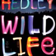 The lyrics ALL THE WAY of HEDLEY is also present in the album Wild life (2013)