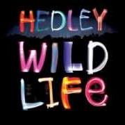 The lyrics CHA-CHING of HEDLEY is also present in the album Hedley (2005)