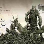 The lyrics DII of HIGH ON FIRE is also present in the album Death is this communion (2007)