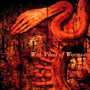 The lyrics WOE TO THE DEFEATED of HOLLENTHON is also present in the album With vilest of worms to dwell (2001)