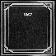 The lyrics FALLS APART of HURT is also present in the album Vol. 1 (2006)