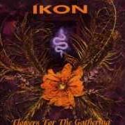 The lyrics INTO YOUR MADNESS of IKON is also present in the album Flowers for the gathering (1997)