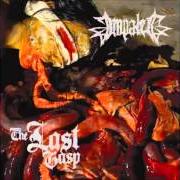 The lyrics SICKNESS IS HEALTH of IMPALED is also present in the album The last grasp (2007)