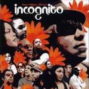 The lyrics TIN MAN of INCOGNITO is also present in the album Bees + flowers + things (2006)