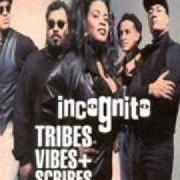 The lyrics I LOVE WHAT YOU DO FOR ME of INCOGNITO is also present in the album Tribes, vibes and scribes (1992)