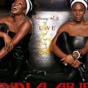 The lyrics PEARLS of INDIA.ARIE is also present in the album Testimony: vol. 2, love & politics (2007)