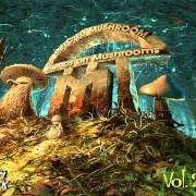 The lyrics NOW IS GOLD of INFECTED MUSHROOM is also present in the album Friends on mushrooms, vol. 2 (2013)