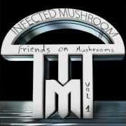 The lyrics ASTRIX ON MUSHROOMS of INFECTED MUSHROOM is also present in the album Friends on mushrooms, vol. 1 (2013)