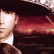 The lyrics MATALAS of ALEJANDRO FERNÁNDEZ is also present in the album Niña amada mía (2003)