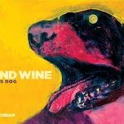 The lyrics LOVESONG OF THE BUZZARD of IRON & WINE is also present in the album The shepherd's dog (2007)