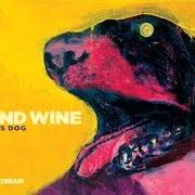 The lyrics PEACE BENEATH THE CITY of IRON & WINE is also present in the album The shepherd's dog (2007)