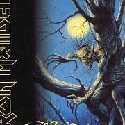 The lyrics WASTING LOVE of IRON MAIDEN is also present in the album Fear of the dark (1992)