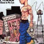 The lyrics KAY SLAY (SKIT) of JA RULE is also present in the album Blood in my eye (2003)