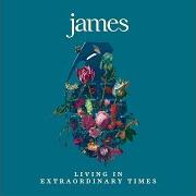 The lyrics MANY FACES of JAMES is also present in the album Living in extraordinary times (2018)