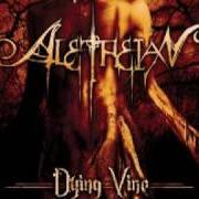 The lyrics THE SHEPARD'S FOLD of ALETHEIAN is also present in the album Dying vine (2005)