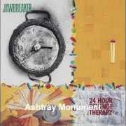 The lyrics ASHTRAY MONUMENT of JAWBREAKER is also present in the album 24 hour revenge therapy (1994)