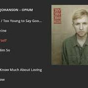 The lyrics I CAN COUNT ON YOU of JAY JAY JOHANSON is also present in the album Opium (2015)