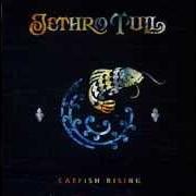 The lyrics ROLL YER OWN of JETHRO TULL is also present in the album Catfish rising (1991)