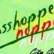 The lyrics NOBODY BUT YOU of JJ CALE is also present in the album Grasshopper (1982)