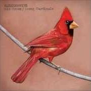 The lyrics ACCEPT CRIME of ALEXISONFIRE is also present in the album Old crows / young cardinals (2009)