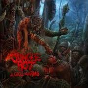 The lyrics A CALL TO ARMS of JUNGLE ROT is also present in the album A call to arms (2022)