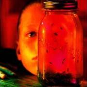 The lyrics ROTTEN APPLE of ALICE IN CHAINS is also present in the album Jar of flies