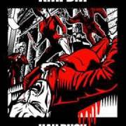 The lyrics PROFESSIONAL KILLER of KMFDM is also present in the album Hau ruck (2005)