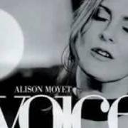 The lyrics THE MAN I LOVE of ALISON MOYET is also present in the album Voice (2004)