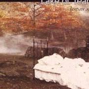 The lyrics PAGAN WISH of LAKE OF TEARS is also present in the album Forever autumn (1999)