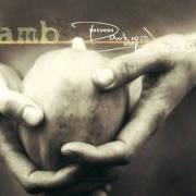 The lyrics LEARN of LAMB is also present in the album Between darkness and wonder (2003)