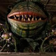 Little Shop Of Horrors