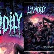 Lividity